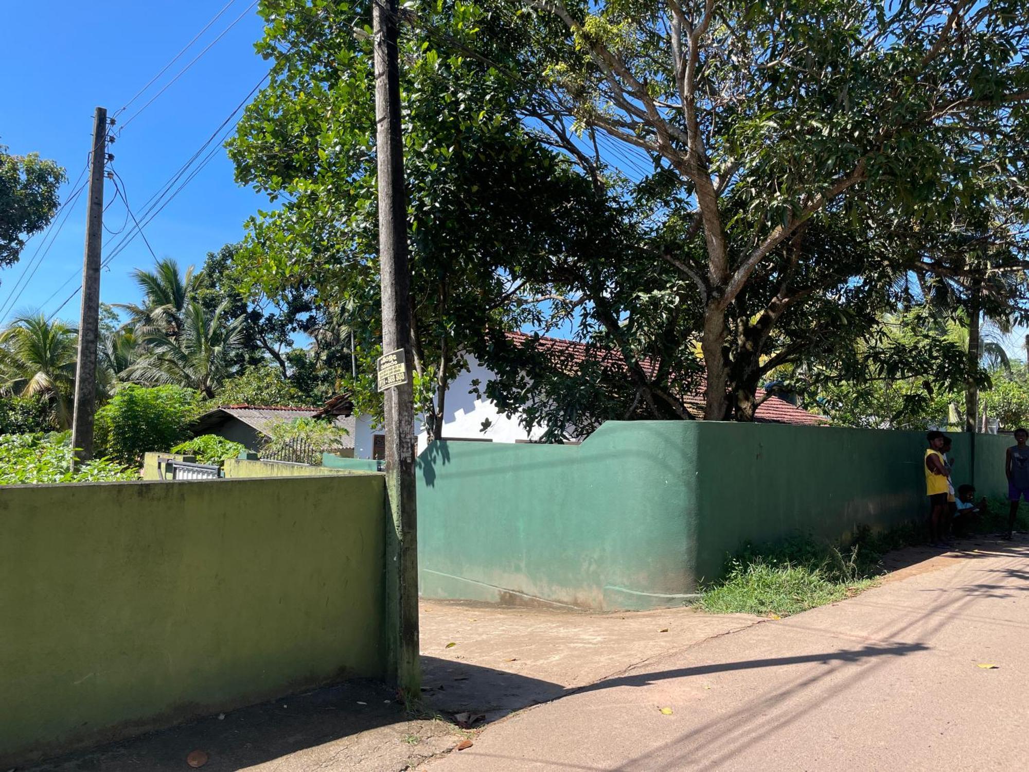 Sun & Tree Homestay Mirissa Buitenkant foto