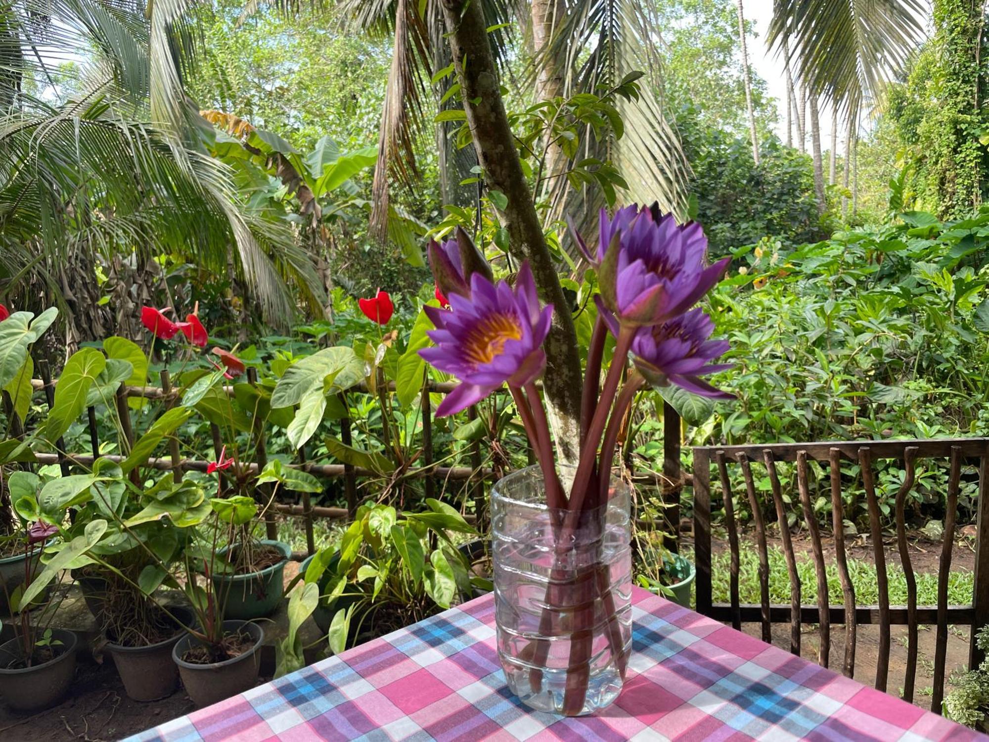 Sun & Tree Homestay Mirissa Buitenkant foto