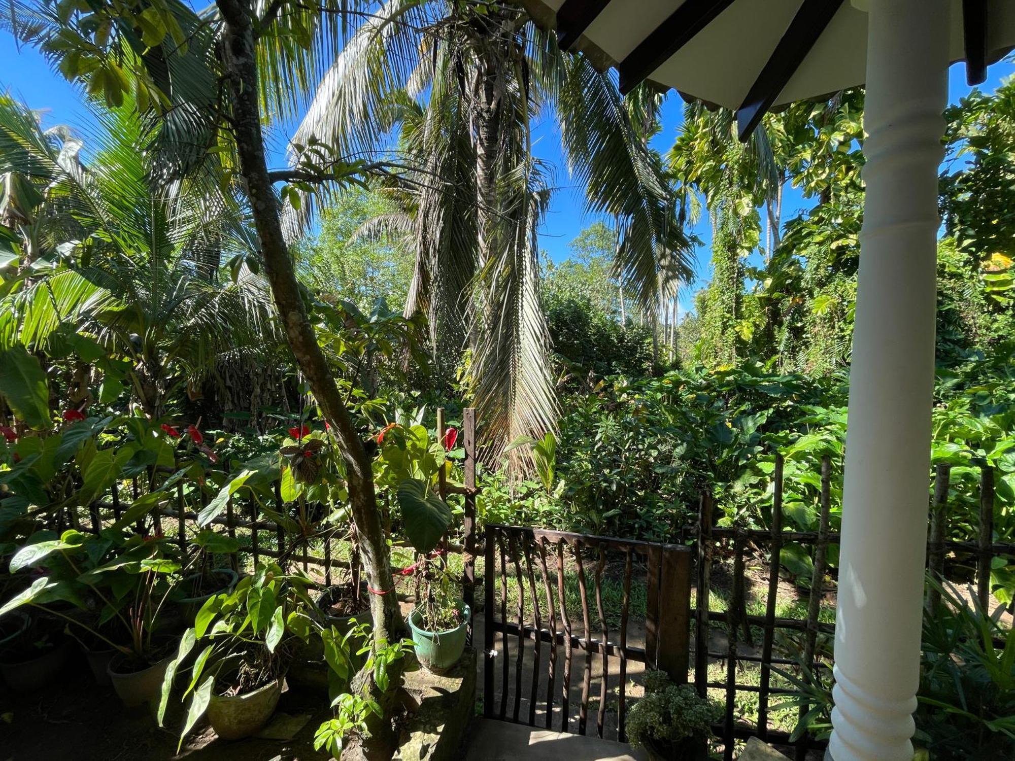 Sun & Tree Homestay Mirissa Buitenkant foto