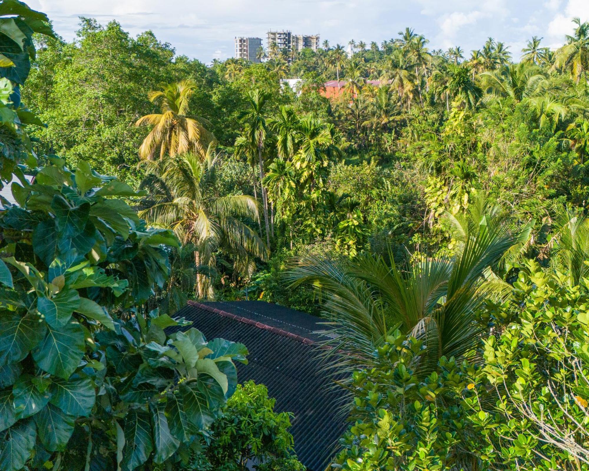 Sun & Tree Homestay Mirissa Buitenkant foto