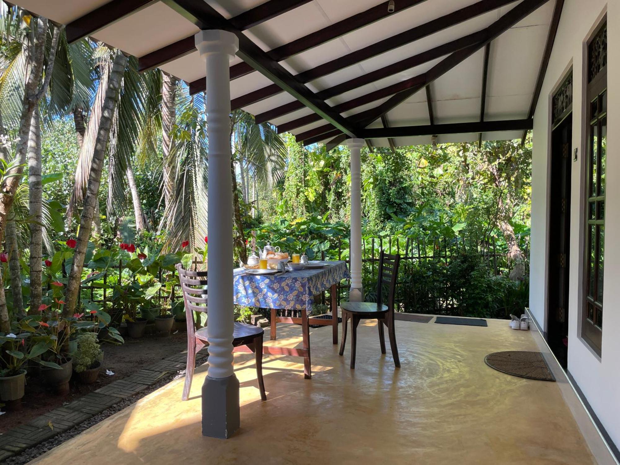 Sun & Tree Homestay Mirissa Buitenkant foto
